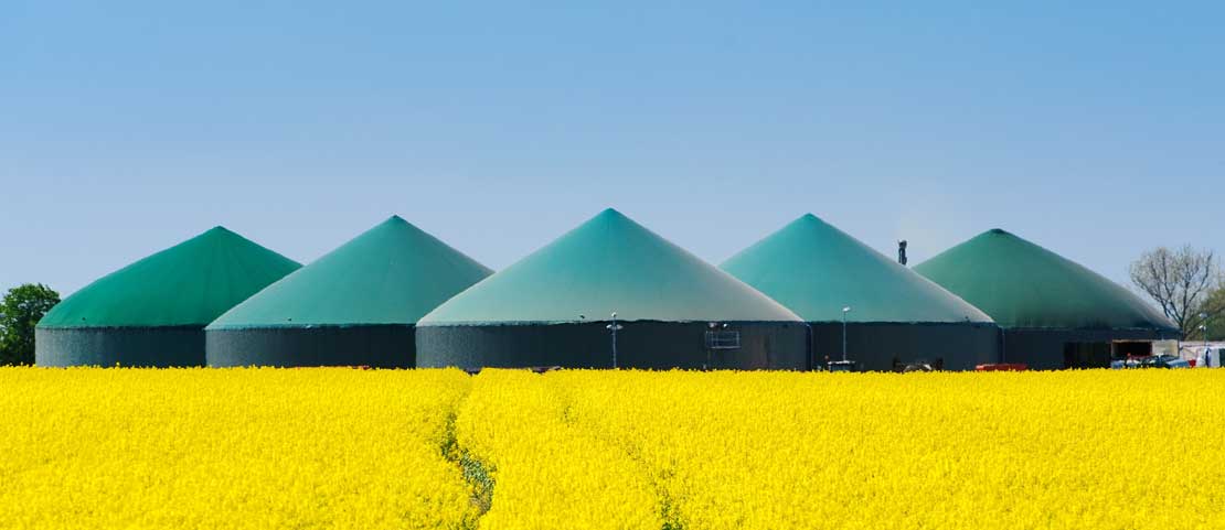 Revolutionising the Future for Biogas.